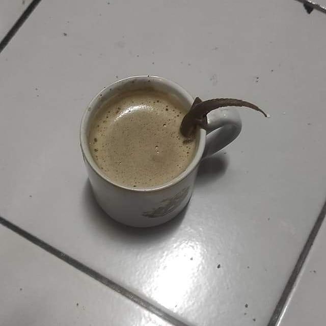 Moment kocak gagal minum karena hewan ini bikin garuk kepala